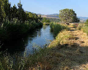 fire mountain canal, here pictured full of water. its been empty a lot lately.