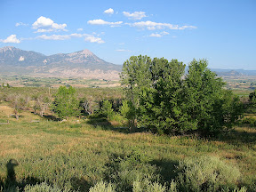 a view of the farm from the ditch road 1 of 4