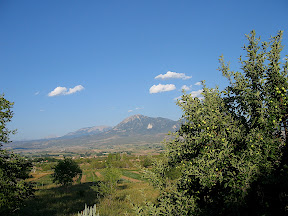the mountains from beside a tree