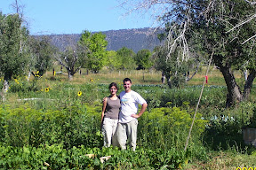 v + l happy in the field