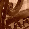 DSCN0599.jpg