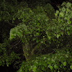 DSCN0630.jpg