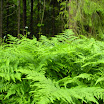 DSCN0918.jpg
