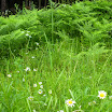 DSCN0917.jpg