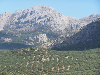 Videos de la Sierra de Villanueva del Rosario