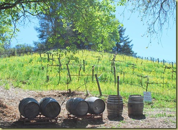 acorn barrels