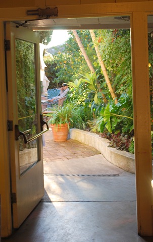 [west side sunflower garden[5].jpg]