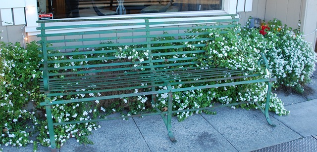 [south side bench[4].jpg]