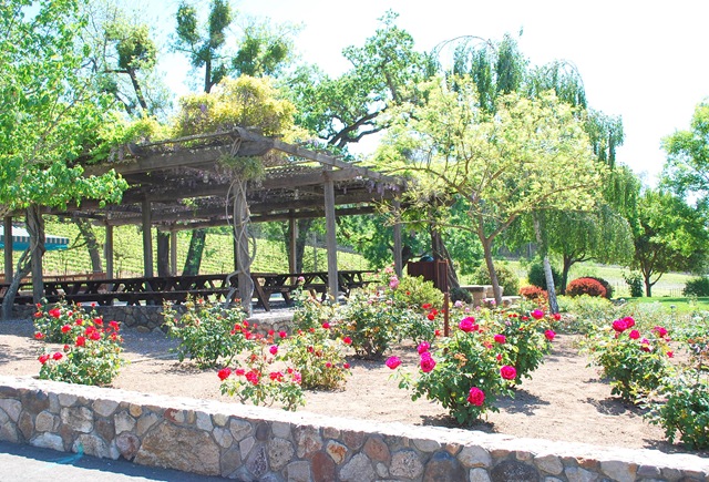 [picnic grounds 2[4].jpg]