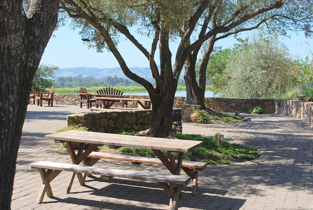 [picnic grounds 1[4].jpg]