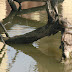 IMG_3176.jpg, ~ snake ~ Keoladeo NP, RAJ 1/05, Animals in India