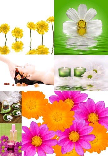 SPA-resort nicegfx.com