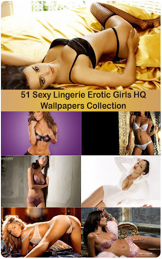 51 Sexy Lingerie Erotic Girls HQ Wallpapers Collection nicegfx.com