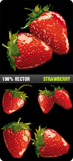 Stock Vector - Strawberry nicegfx.com