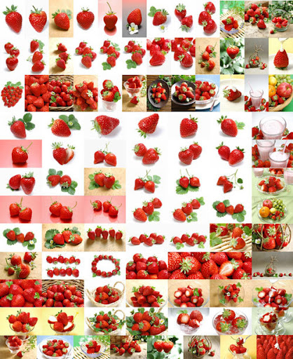 Stock Strawberry SouzouSozai nicegfx.com