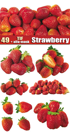 Stock photos: Strawberry nicegfx.com