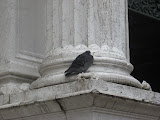 IMG_1746.jpg