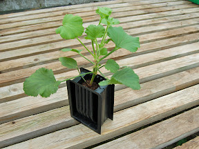 Single Rootrainers
