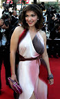 U.S. actress Laura Elena Harring poses on the red carpet during arrivals for the screening of Brazilian director Walter Salles's film entry 'Diarios de Motocicleta' (The Motorcycle Diaries) which competes for the Palme d'Or at the 57th Cannes Film Festival, May 19, 2004. REUTERS/Cyril Iordansky