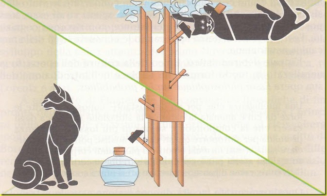 Il gatto di Schrödinger e la meccanica quantistica