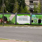 DSC_0013.jpg