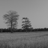 B W thoughts.jpg