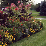 images-Seasonal Color-flowers_6.jpg