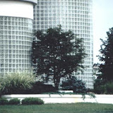 images-Landscape Design and Installation-lnd_dsn_6.jpg