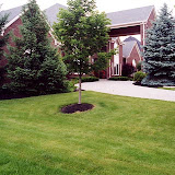images-Landscape Design and Installation-lnd_dsn_31.jpg