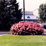 images-Maintenance-totalcare_b35.jpg