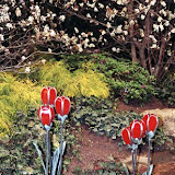 images-Landscape Lighting and Illumination-illum_b5.jpg