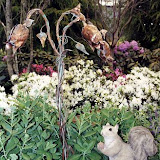 images-Landscape Lighting and Illumination-illum_b9.jpg