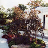 images-Landscape Lighting and Illumination-illum_13.jpg