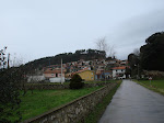 Niembro