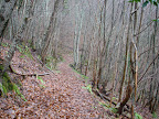 Monte de Las Paradas
