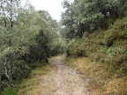 Camiño de Castro