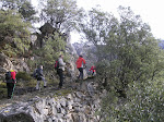 Camiño de Castro