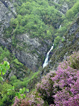 Fervenza El Xilvo