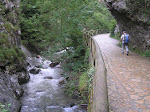 Río Alba