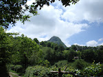 Pico Corbellosu