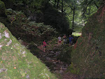 La Biescona