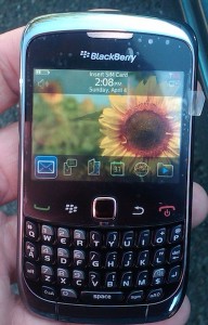 blackberry curve 9300 1 192x300 Photo appearance BlackBerry 9300