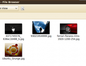 nautilus in ubuntu nautilus in ubuntu