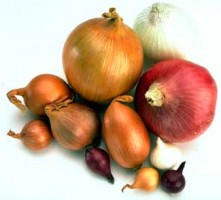 cooking Cooking business opportunities