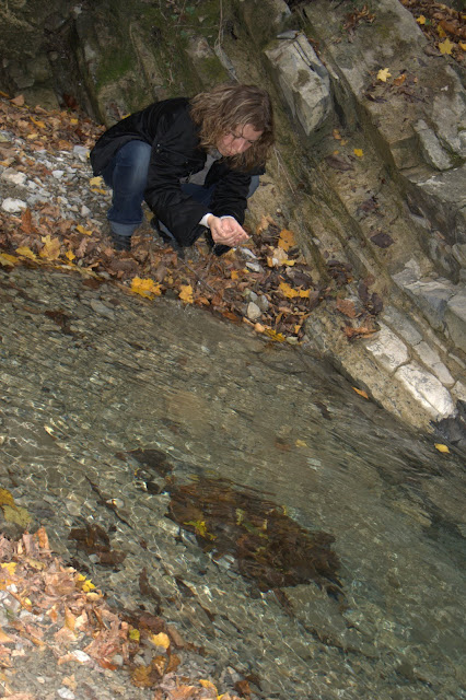 _MG_0282.jpg