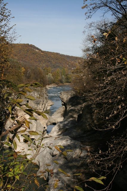 IMG_0047.JPG