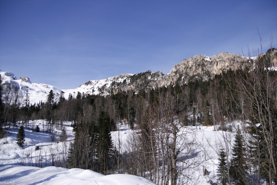 _MG_0514.JPG