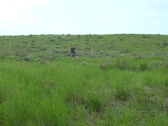 [Together June 2009 127[2].jpg]