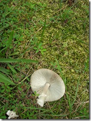 Together September 2009 077