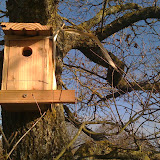 Cabane à oiseaux